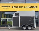 Humbaur Single 1,6t Pferdeanhänger Tageszulassung - Humbaur Single