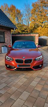 BMW 230i Steptronic Cabrio Sport Line Sport Line - BMW 230 Gebrauchtwagen