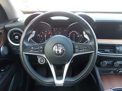 Fahrzeugabbildung Alfa Romeo Stelvio Lusso 2.2 Mjet + Standheizung + AHK