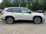 Subaru Forester 2.0 Platinum MJ 25 - Subaru Forester New cars