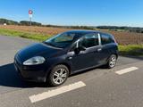 Fiat Punto 199 3/27 TÜV - Fiat Punto 199 mit Benzin-Antrieb