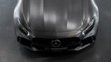 Mercedes-Benz AMG GT R *POLE POSITION*KERAMIK*RACINGKÄFIG* - Mercedes-Benz Gebrauchtwagen in Villingen-Schwenningen
