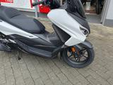 Honda FORZA 125 NSS125 2026er Model Tageszulassung 0KM - HONDA ROLLER 125