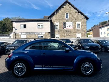 Volkswagen Beetle - 5
