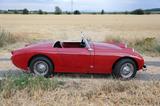 Austin Healey Andere - Austin Healey Gebrauchtwagen