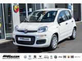 Fiat Panda MY25 Hybrid 1.0 GSE CITY-PAKET TEMPOMAT PD - Fiat Panda: 2t