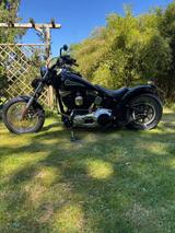 Harley-Davidson Softail Standard (Baujahr 2000)  - HARLEY-DAVIDSON 2000 SOFTAIL