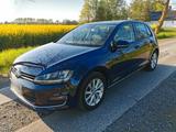 Volkswagen Golf 1.6 TDI 4MOTION Zweitwagen Vollausstattung  - Volkswagen Golf: 4motion V6