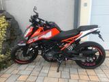 KTM Duke 125 - KTM DUKE 125