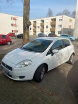 Fiat Punto auch Tausch gegen ein anderes A... - Fiat Punto in Ludwigshafen