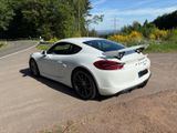Porsche Cayman GT4  - Porsche Cayman aus 2016