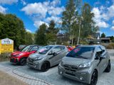 Casalini M20 Black Line, Neufahrzeug... auch Vermietung ! - Casalini