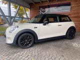 MINI COOPER Carbon Black Line|AU NEU| Sitz heiz. - MINI MINI: Black