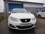 Seat Ibiza SC Copa - Seat Ibiza: Copa