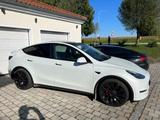 Tesla Model Y Performance AWD Dt. Modell SOFORT - Tesla Model Y: Performance