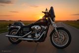 Harley-Davidson Dyna Super Glide FD1 FXD | TÜV bis 09/27 - HARLEY-DAVIDSON 2004 DYNA