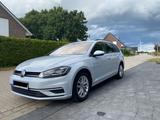 Volkswagen Golf 7 Variant 1.6 TDI DSG Silver White Metallic - : Weiß, Metallic