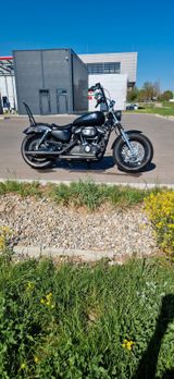Harley-Davidson Sportster Custom 1200 XL - HARLEY-DAVIDSON X