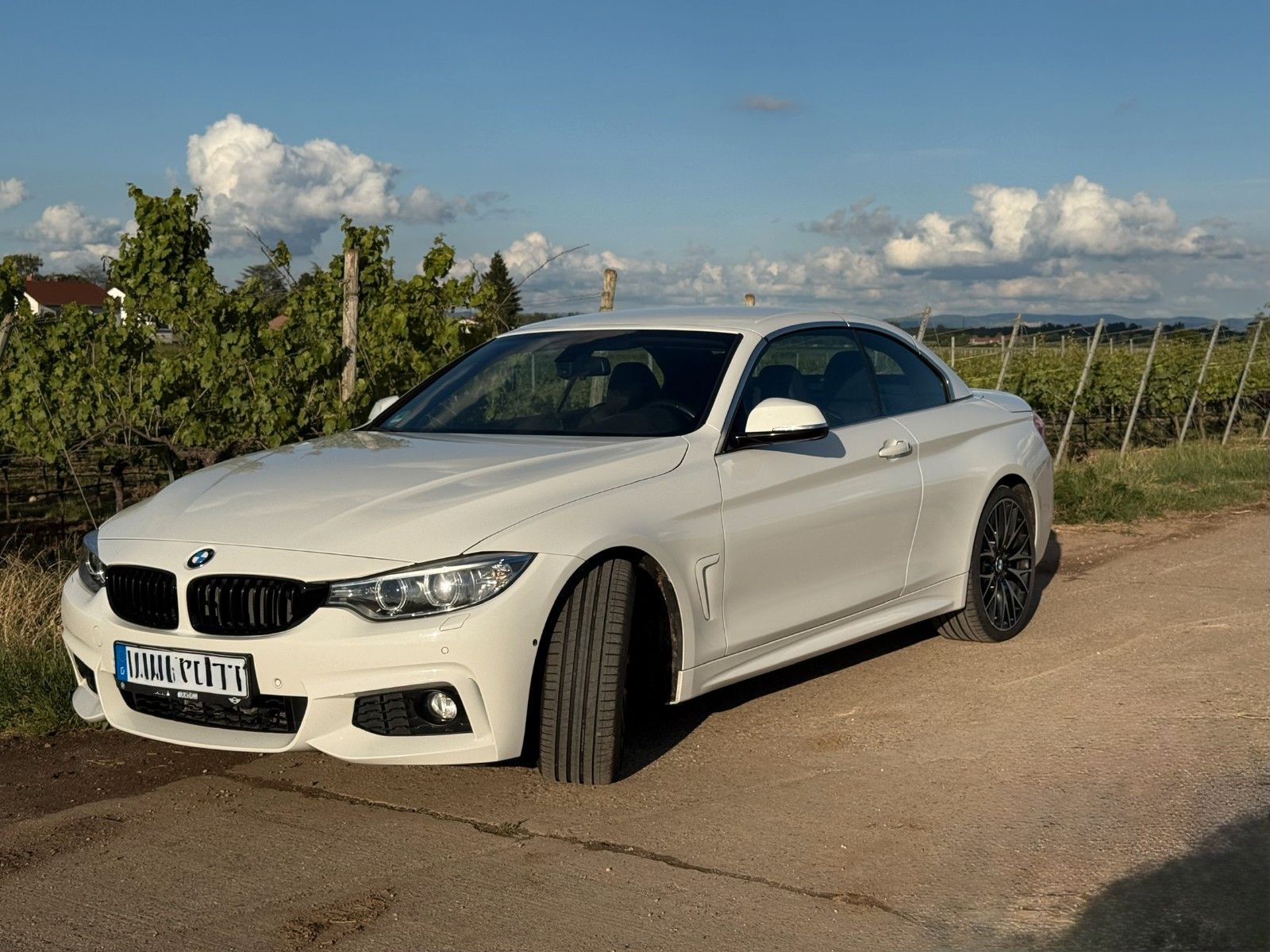 BMW 420i Cabrio M-Sport|Automatik|Garagenwagen|360°K