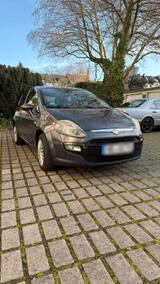 Fiat Punto 1.2L  Rentnerfahrzeug aus 1. H... - Fiat Punto in Dortmund