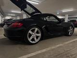 Porsche 987.1 Cayman S - Porsche: 987