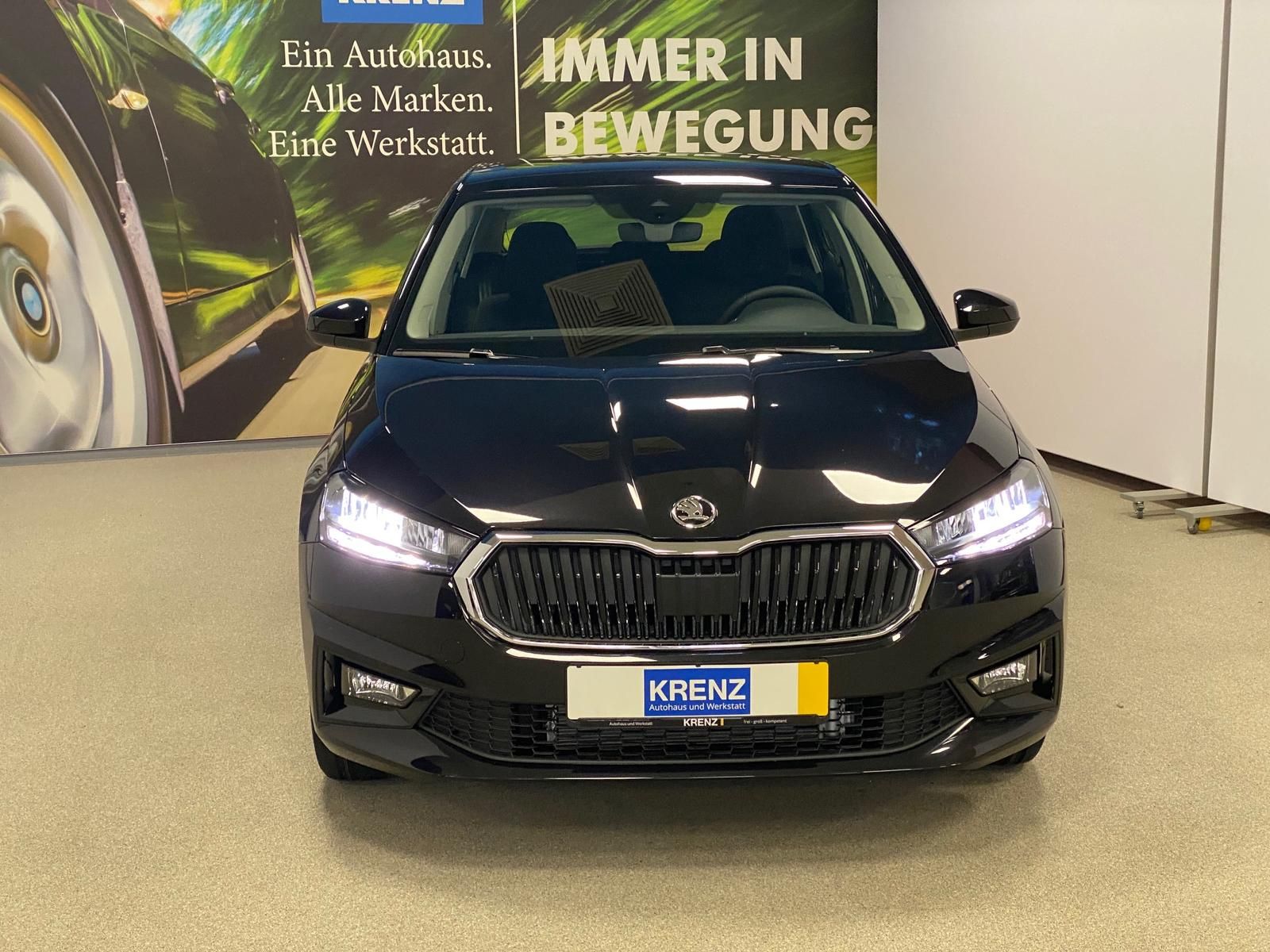 Fahrzeugabbildung SKODA Fabia 1.0 TSI DSG Selection APP+RFK+KLIMA+GA2031