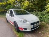Fiat Punto 1.3 Multijet 16V 75 Dynamic Dynamic - Fiat Punto: Multijet
