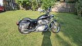 Harley-Davidson Sportster XL 883 - HARLEY-DAVIDSON 2003 SPORTSTER 883