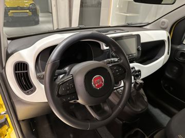 Bild 11 Fiat Panda Pandina Cross