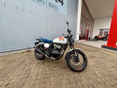 ROYAL ENFIELD Bear 650