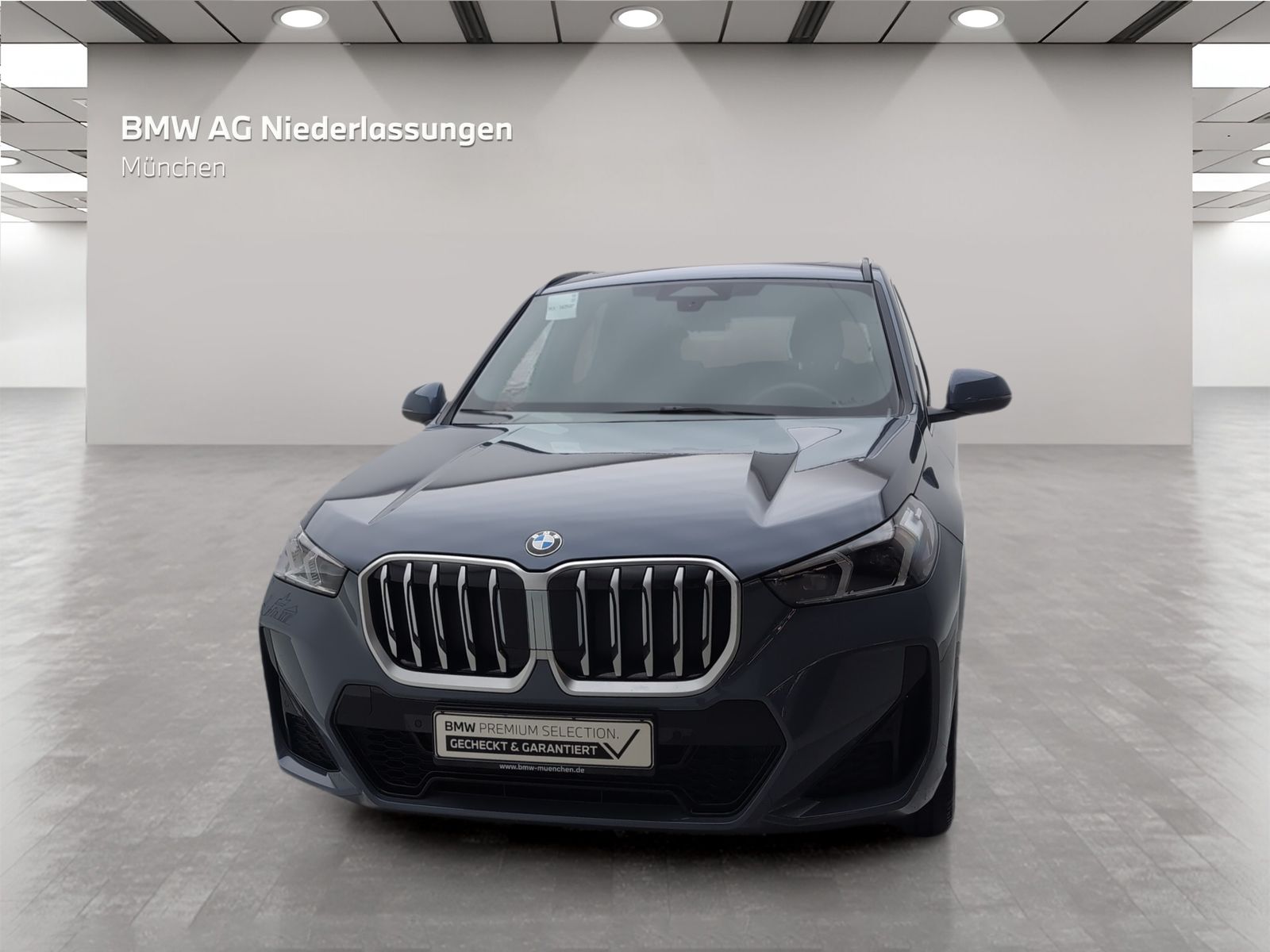 BMW X1 - Bild 4