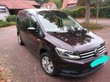 Volkswagen Caddy Maxi DSG - Behindertenger... - Volkswagen Caddy Maxi aus 2015