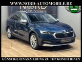 Skoda Octavia Scout Combi 1.5 TSI e-TEC DSG Kamera/18 - Skoda Octavia Scout mit Benzin-Antrieb