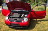 Volkswagen Lupo 1.0 Princeton Princeton - Volkswagen Lupo: Rot
