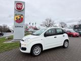 Fiat Panda Easy LPG Defekt,Klima,TÜV, - Fiat Panda Gebrauchtwagen in Mönchengladbach