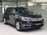 BMW X540d xDrive AHK XENON PANO TEMP - BMW X5: Blau, Luftfederung