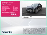 Cupra Terramar - Vorschau Bild 1