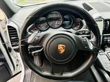 Porsche Cayenne Diesel Platinum Edition Platinum Edition - Porsche Cayenne in Aachen