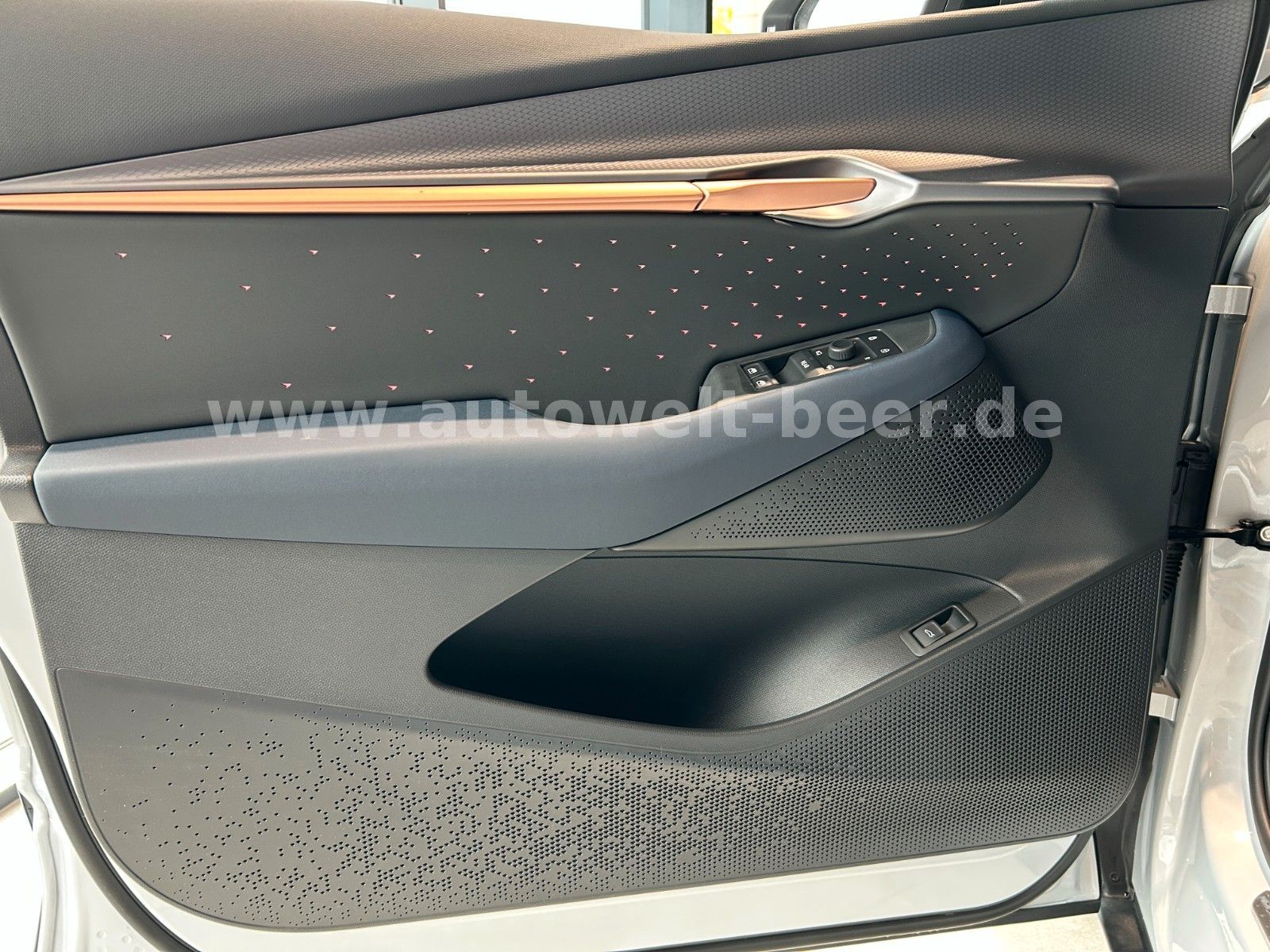 Cupra Tavascan - Bild 13