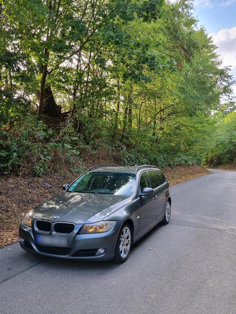BMW 318 2009 — rear view