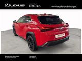 Lexus UX 250h Style+ Edition bis zu 15 Jahre Lexus Rel - Lexus UX aus 2022