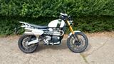 Triumph Scrambler1200xe - Offers