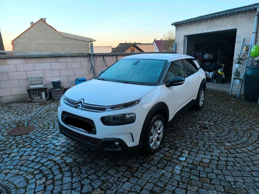 Image of Citroën C4 Cactus