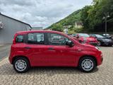 Fiat Pandina 1.0 GSE Hybrid 48 kW Icon - rote Fiat New Panda