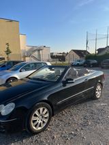 Mercedes-Benz CLK 200 KOMPRESSOR ELEGANCE ELEGANCE - Oldtimer: Cabrio, bis 10000 €