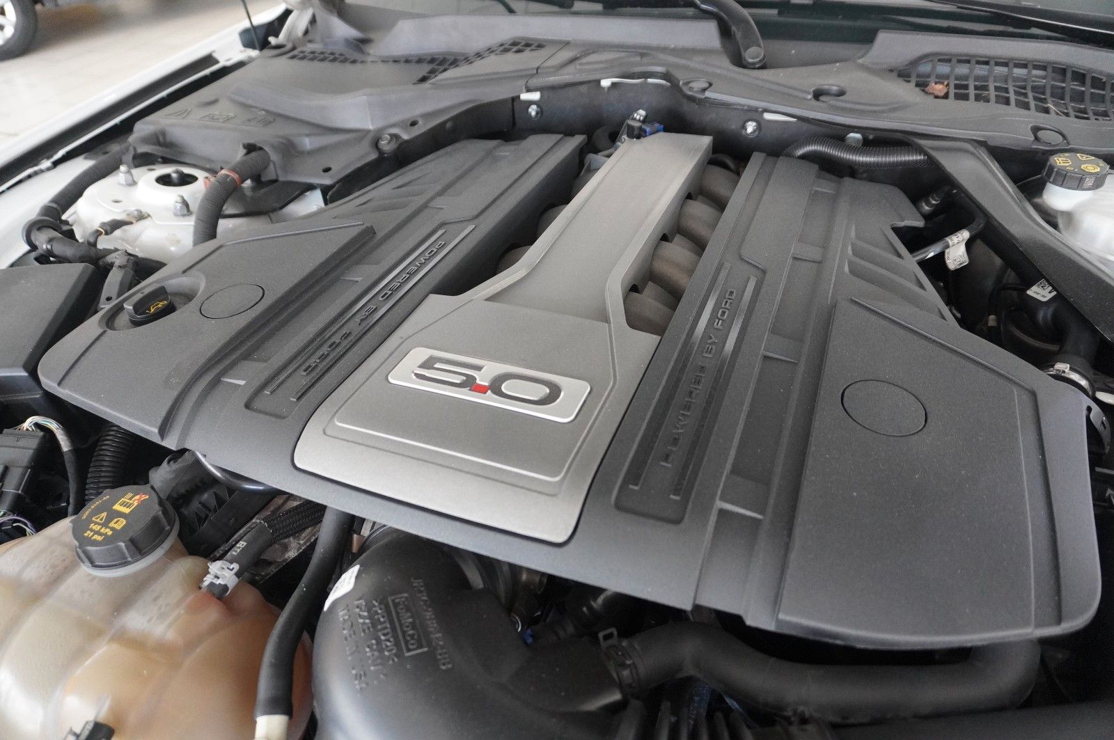 Fahrzeugabbildung Ford Mustang GT 5.0 TI-VCT (EU) NAVI/LED/KAMERA/B&O