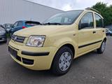 Fiat Panda 1.2 8V Dynamic, Klima, Servo, ZV, el.FH... - gebrauchte Fiat Panda aus dem Jahr 2008