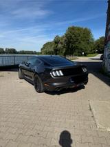 Ford Mustang 5.0 Ti-VCT V8 GT EU-Modell - Ford: Model T