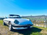 Alfa Romeo Spider - Alfa Romeo aus 1984