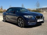 BMW Cabrio 228 i Sport Line M-Technic*Automatik*LED* - BMW: Tech M